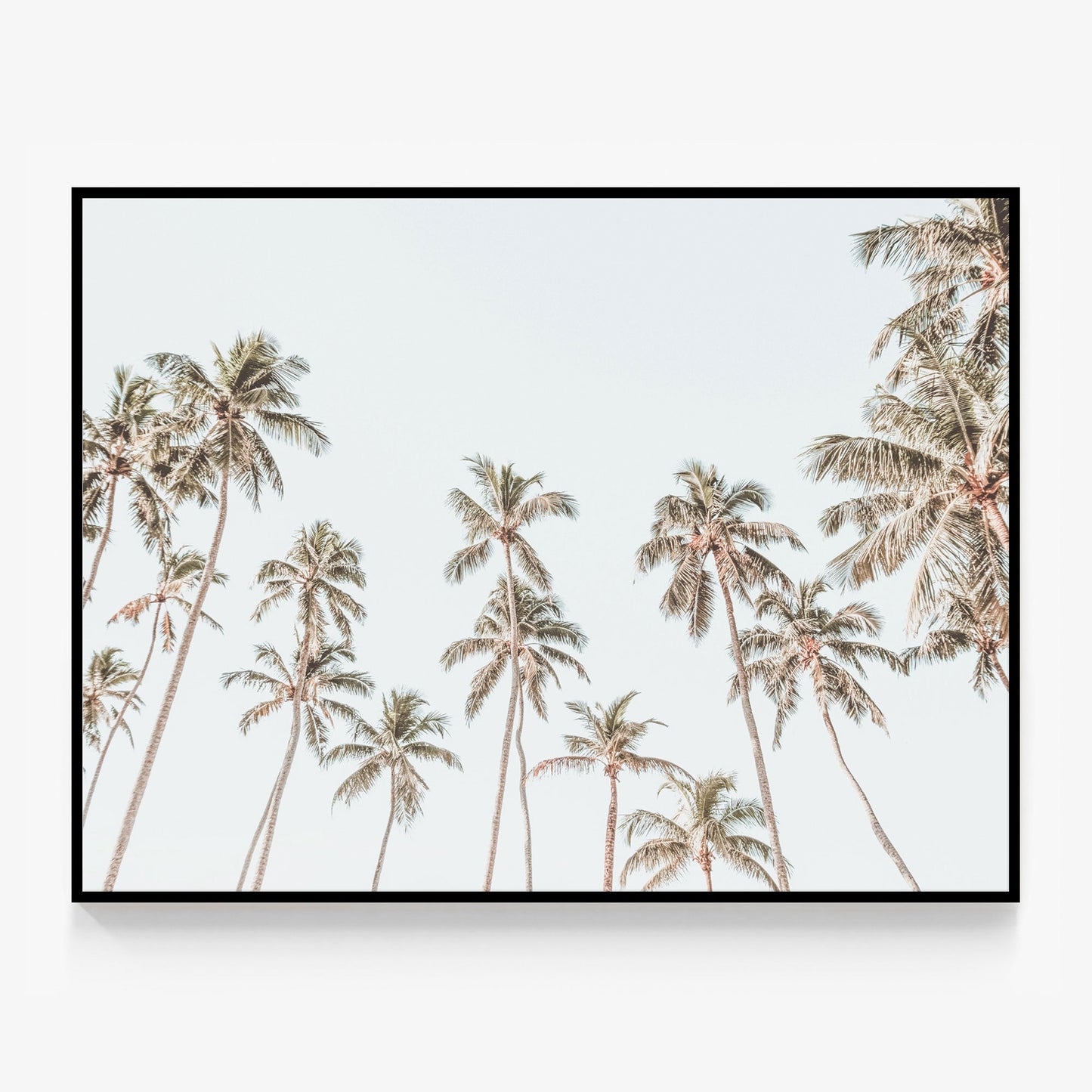 Caribbean Sky Canvas