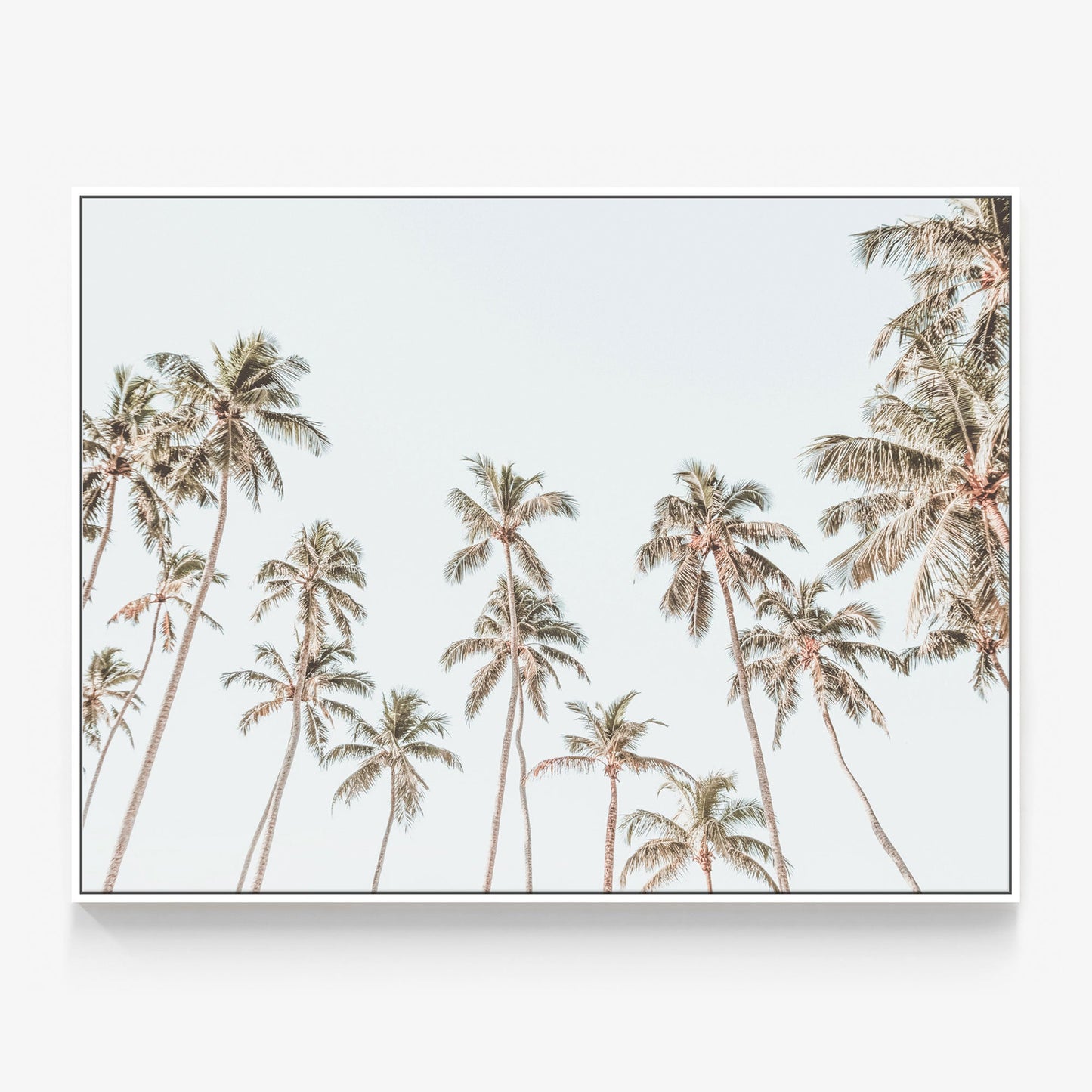 Caribbean Sky Canvas