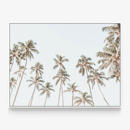 Caribbean Sky Canvas