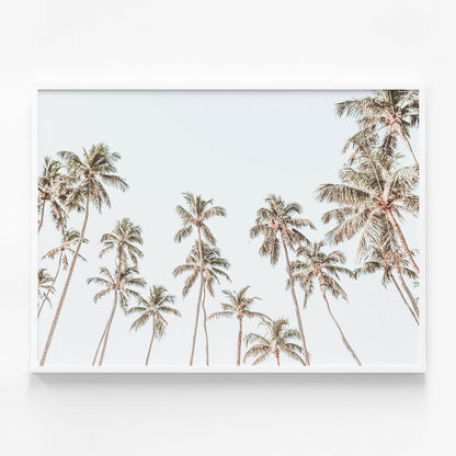Caribbean Sky