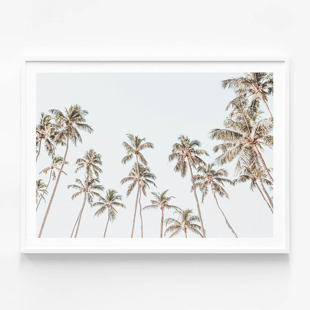 Caribbean Sky