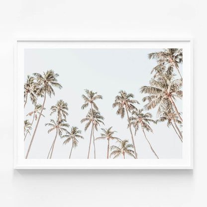 Caribbean Sky