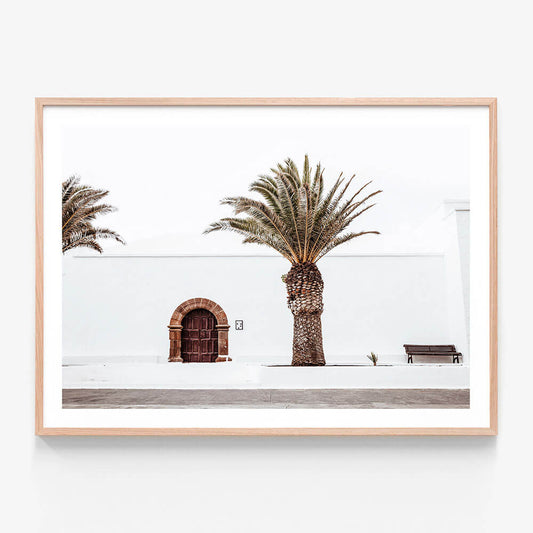 Casa Palm
