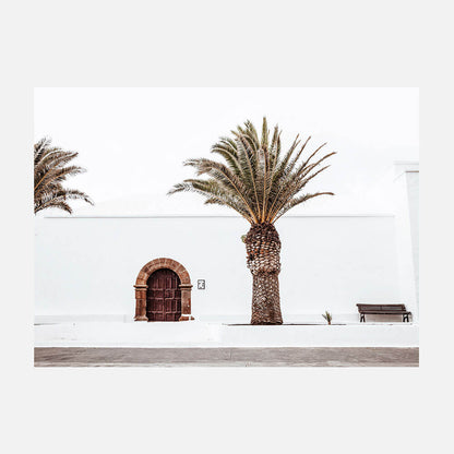 Casa Palm