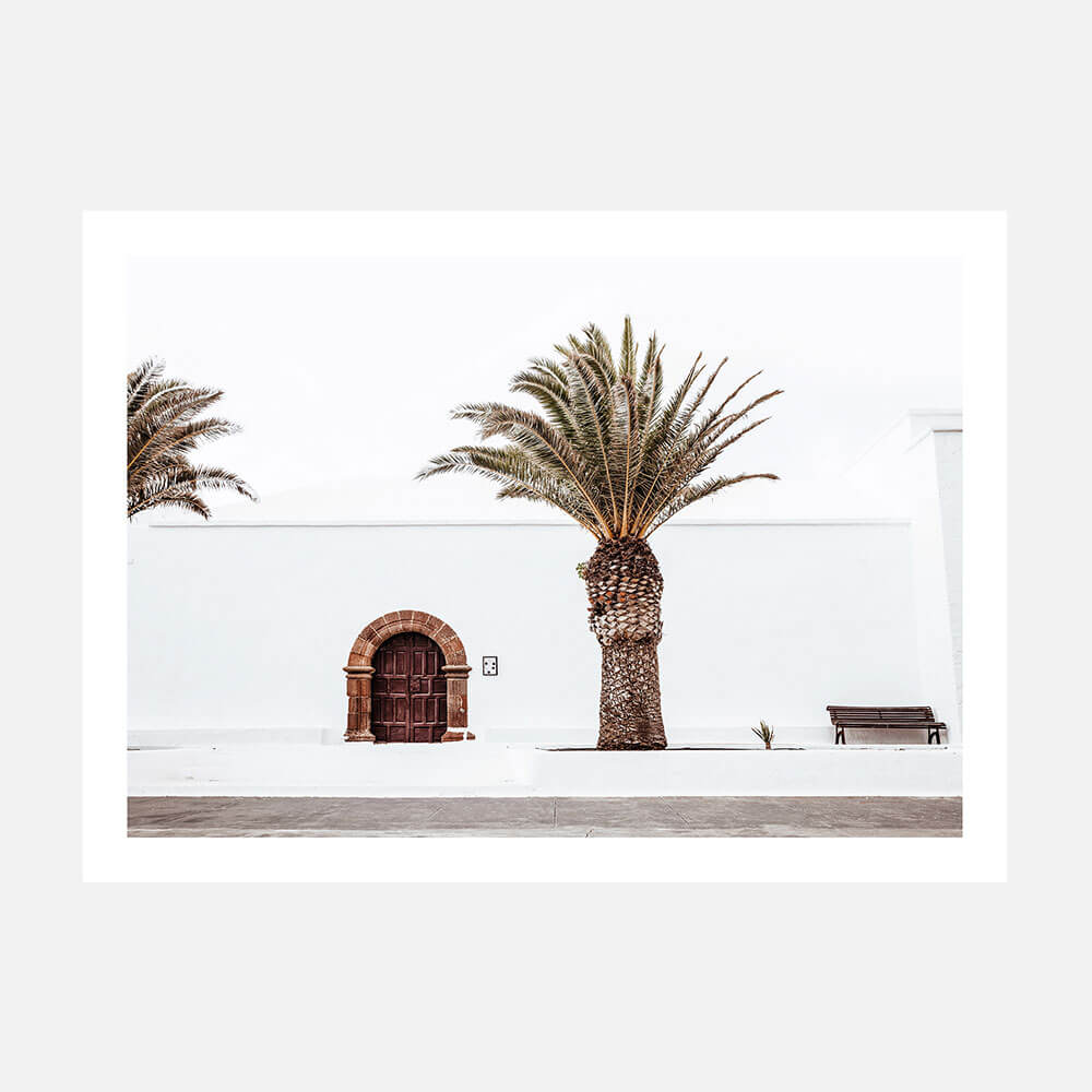 Casa Palm