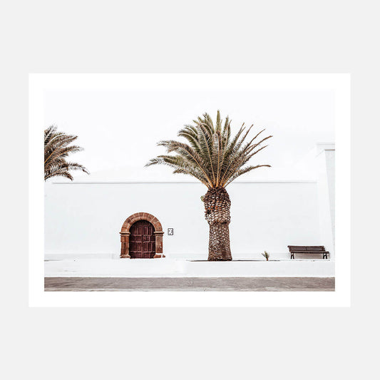 Casa Palm
