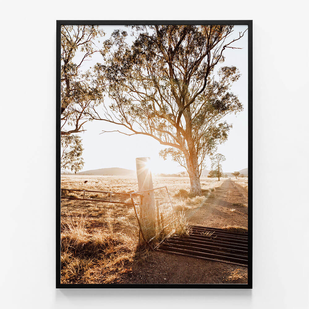 Cattle Grid