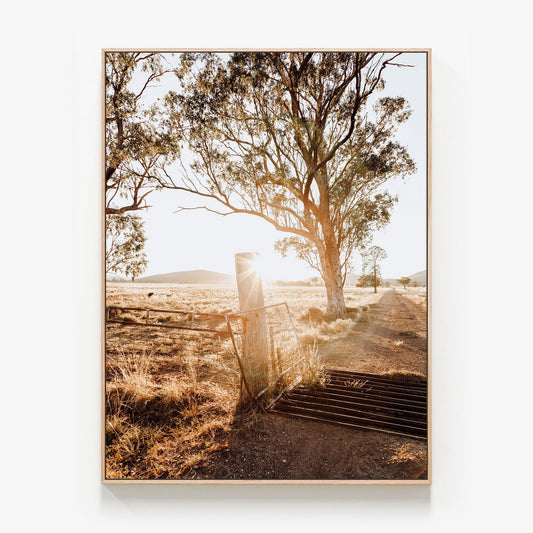 Cattle Grid Canvas wall art with oak float frame