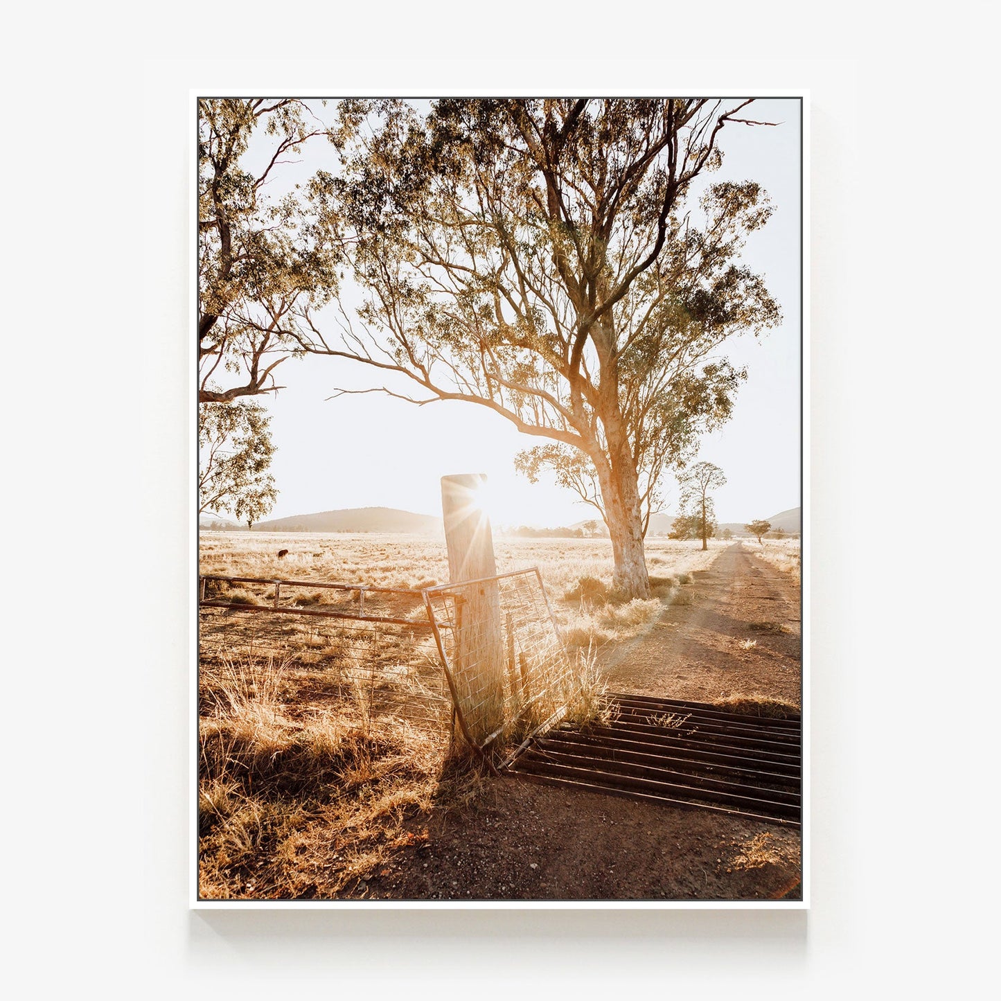 Cattle Grid Canvas
