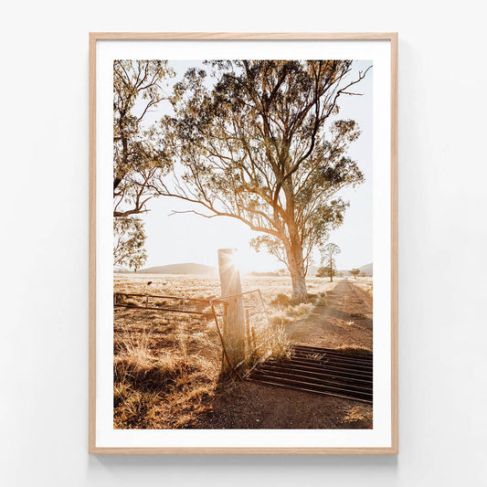 A photographic framed print featuring and Australian farming landscape with a Cattle Grid.