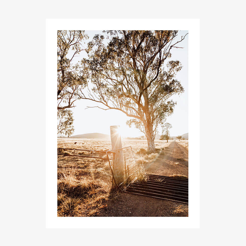 A photo wall art print featuring a Cattle Grid in Australian farmland