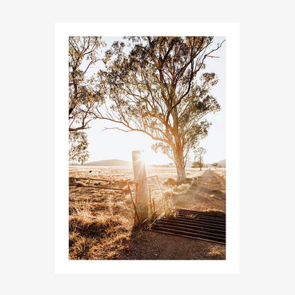 A photo wall art print featuring a Cattle Grid in Australian farmland