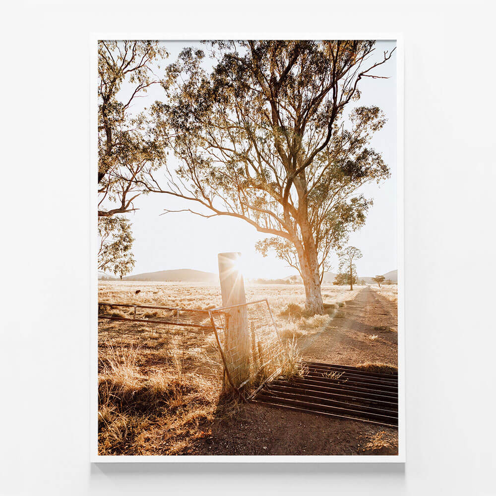 Cattle Grid