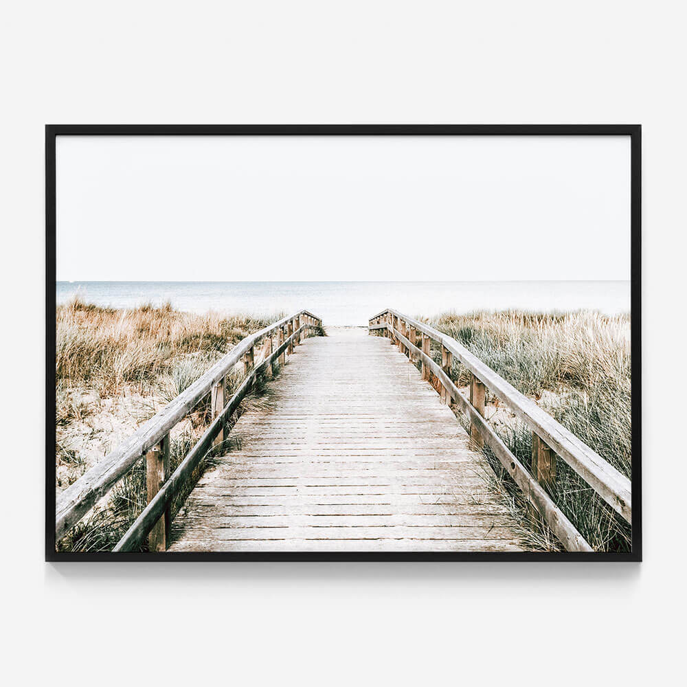 Coastal Boardwalk