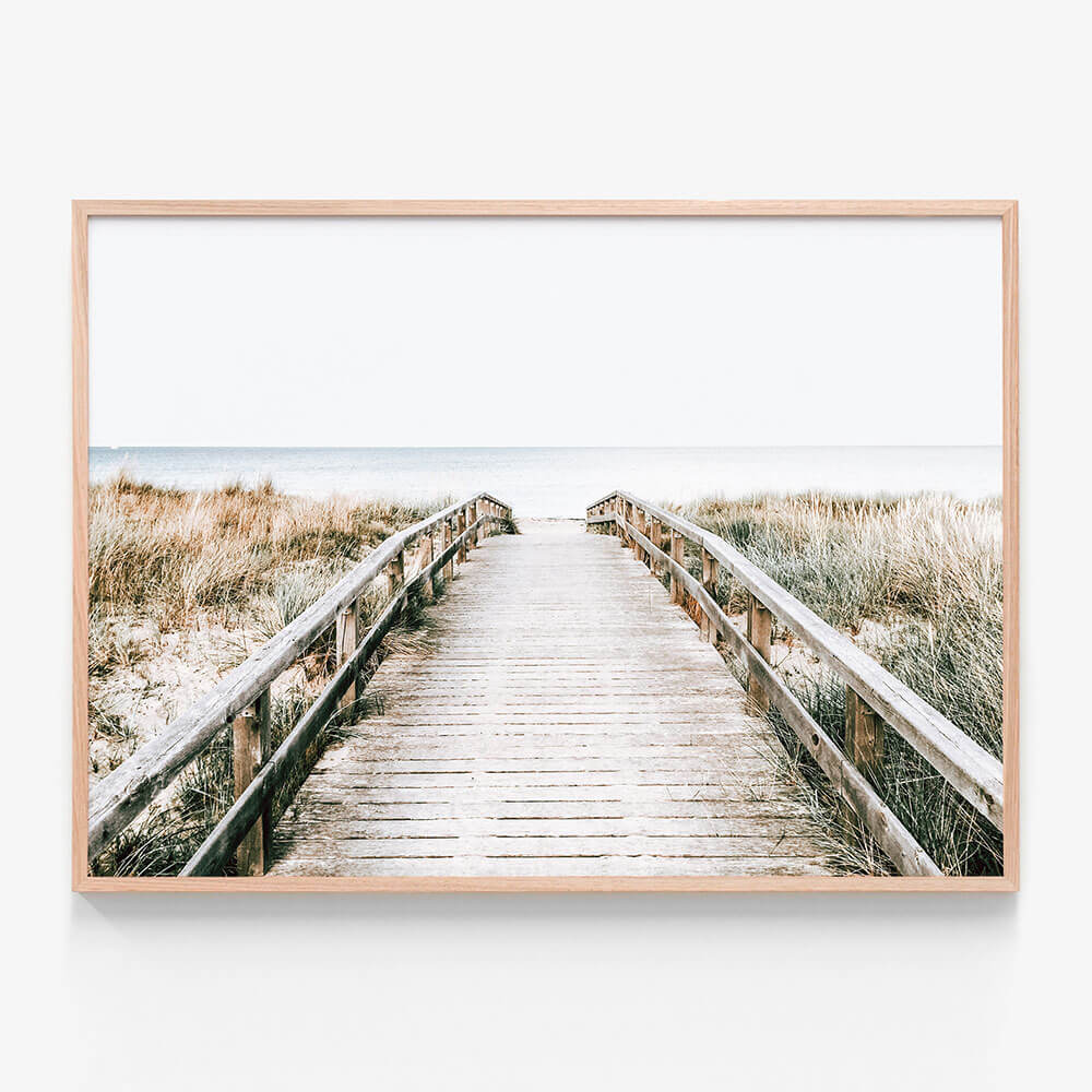 Coastal Boardwalk