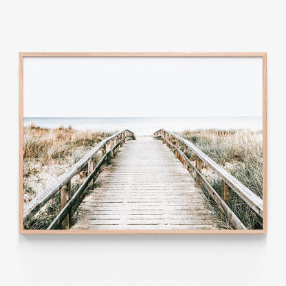 Coastal Boardwalk