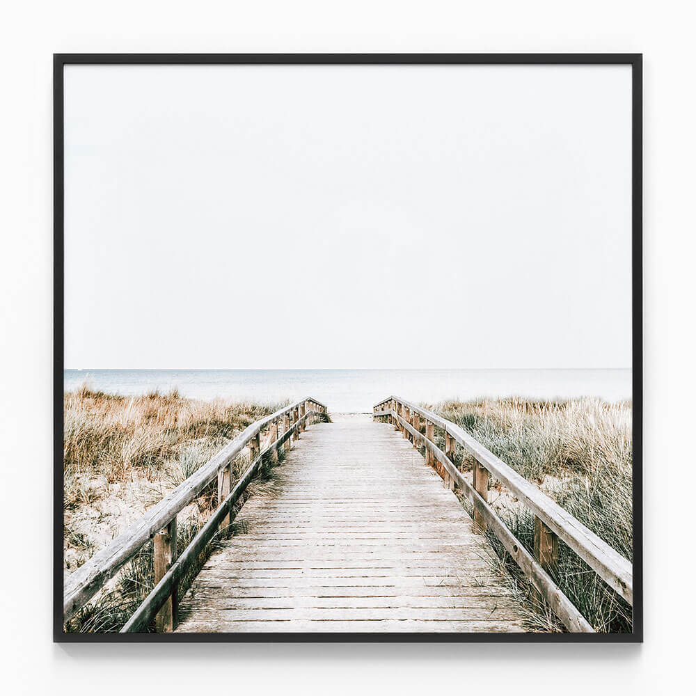 Coastal Boardwalk