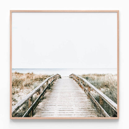 Coastal Boardwalk