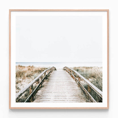 Coastal Boardwalk