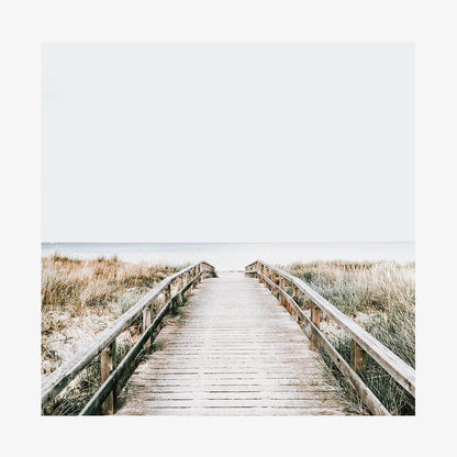 Coastal Boardwalk