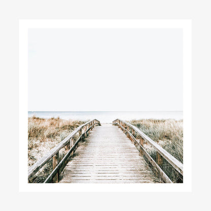 Coastal Boardwalk