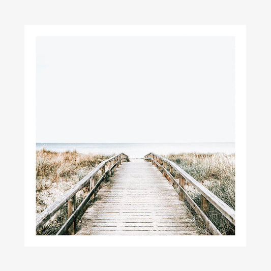 Coastal Boardwalk