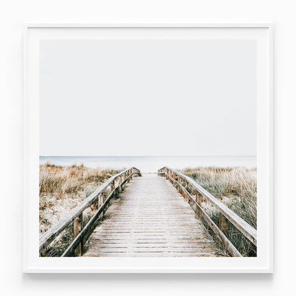 Coastal Boardwalk