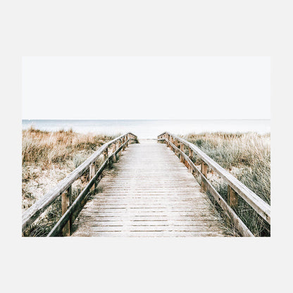 Coastal Boardwalk