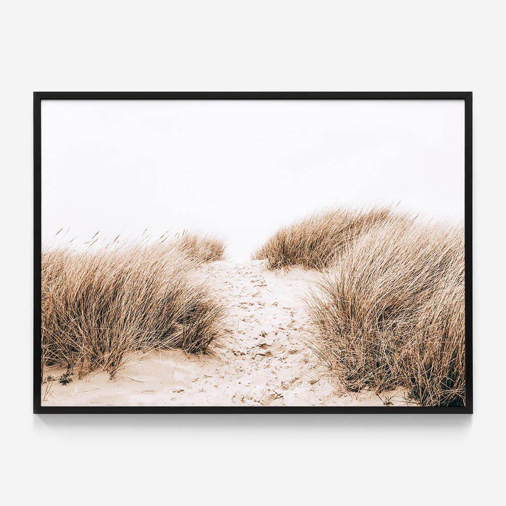 Coastal Grass