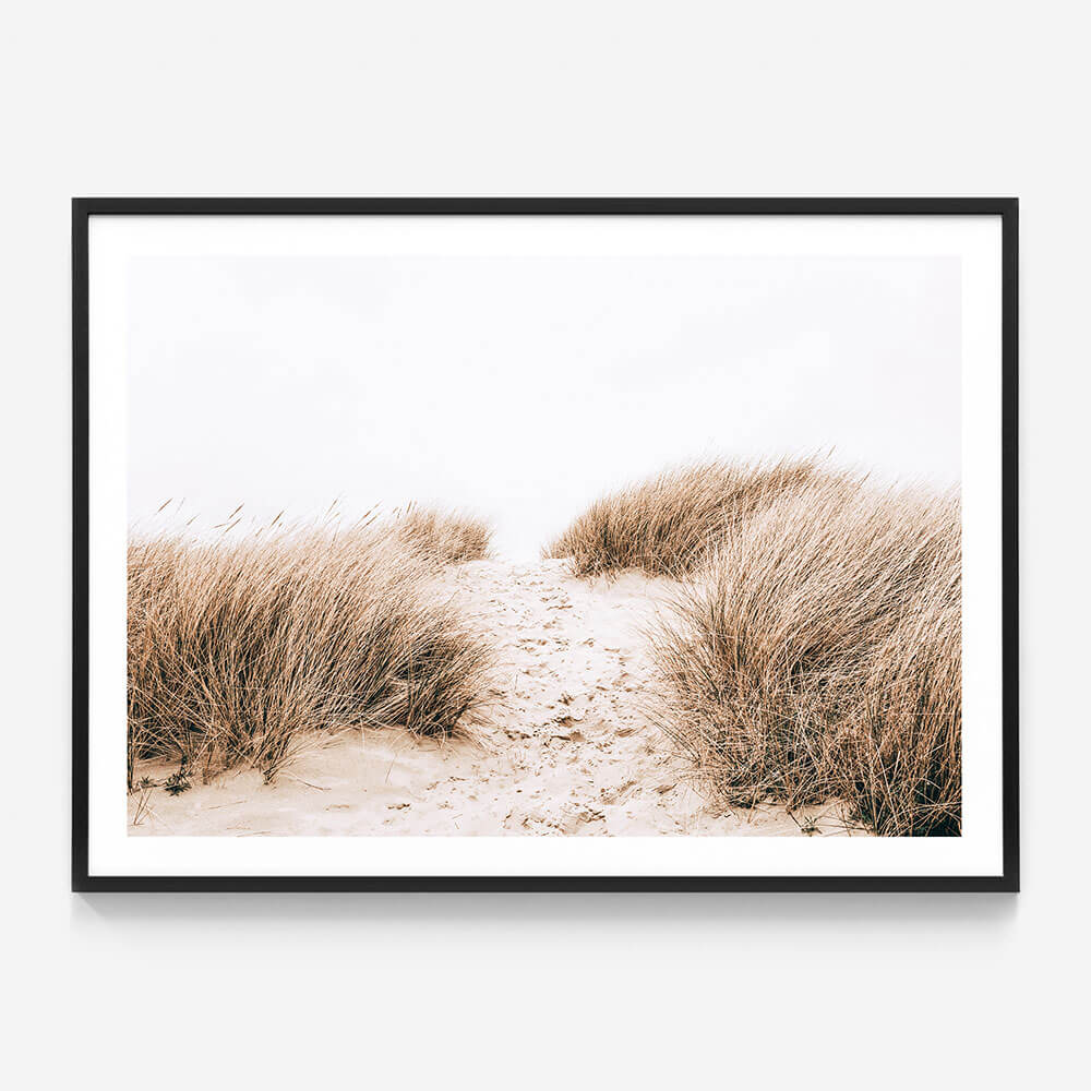 Coastal Grass