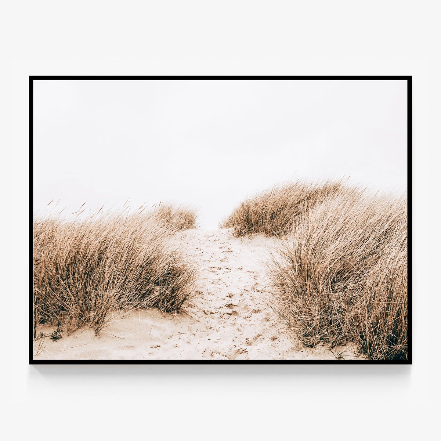 Coastal Grass Canvas