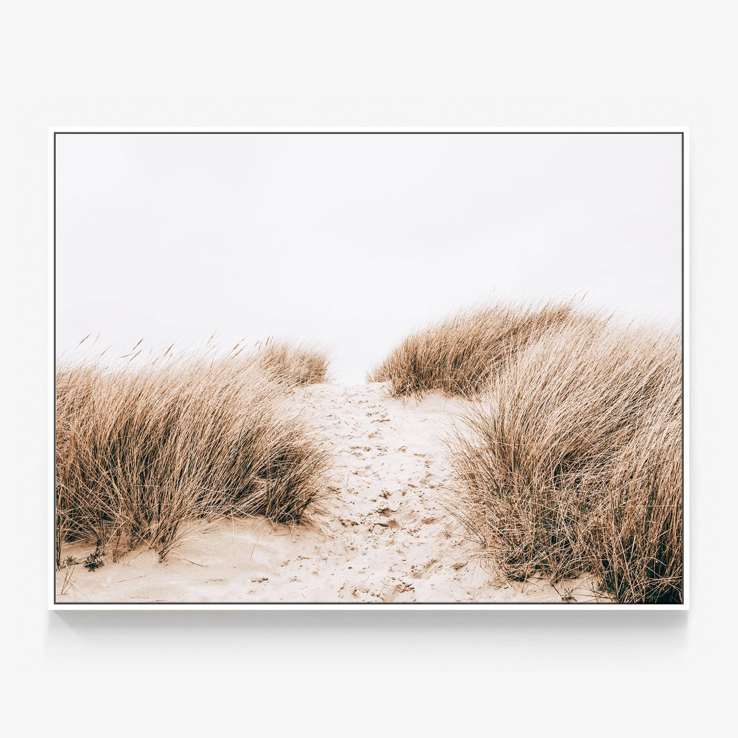 Coastal Grass Canvas
