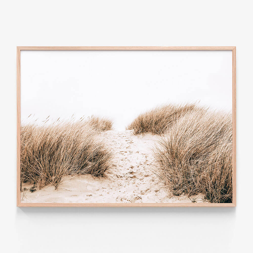 Coastal Grass