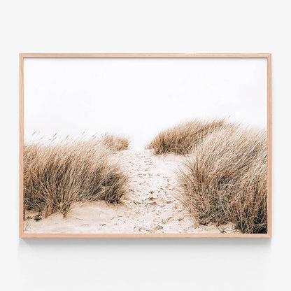 Coastal Grass