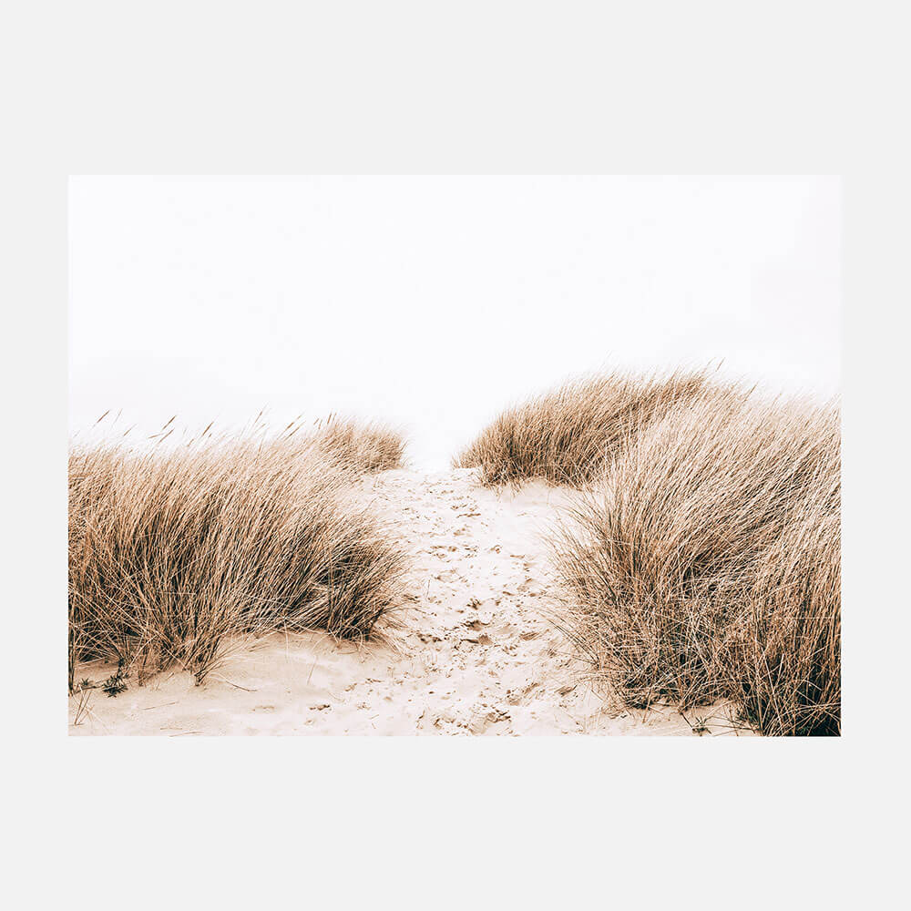 Coastal Grass