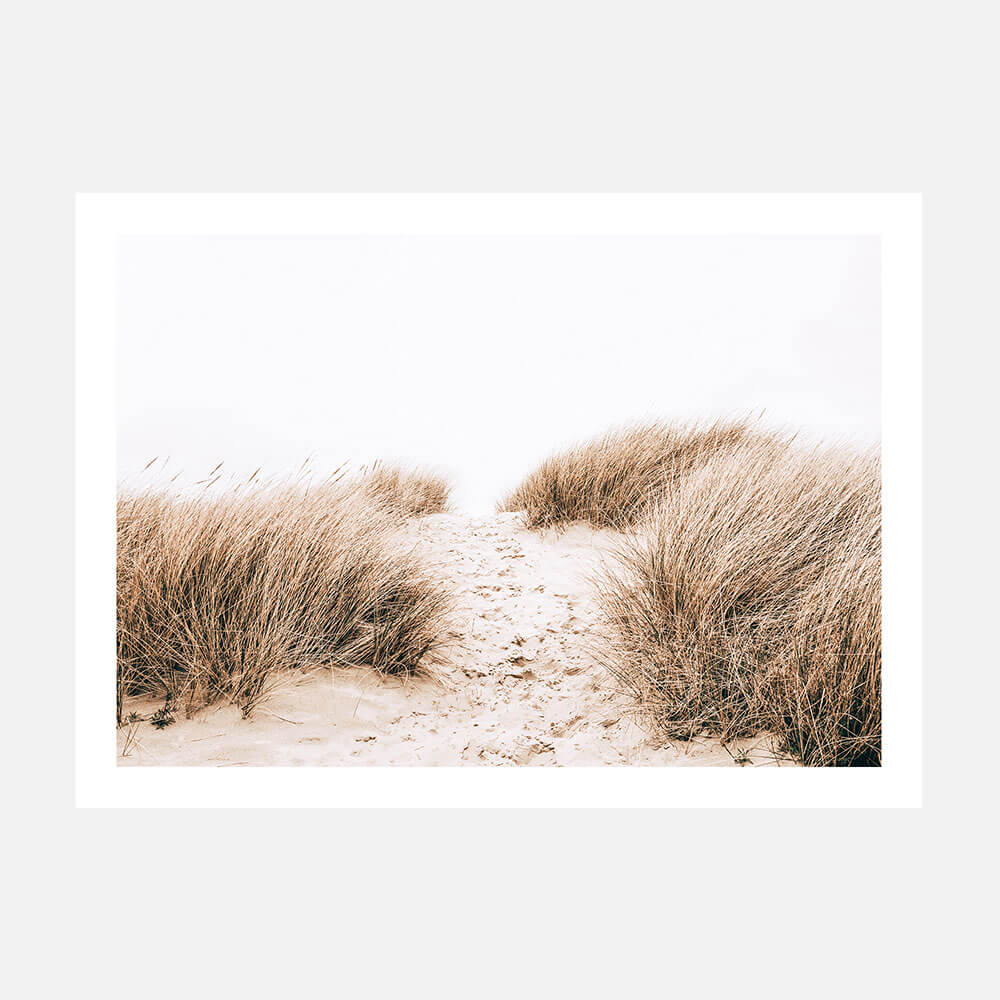 A photo wall art print of a sandy coastal path to the beach with tall grass on either side.