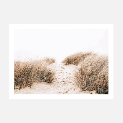 A photo wall art print of a sandy coastal path to the beach with tall grass on either side.