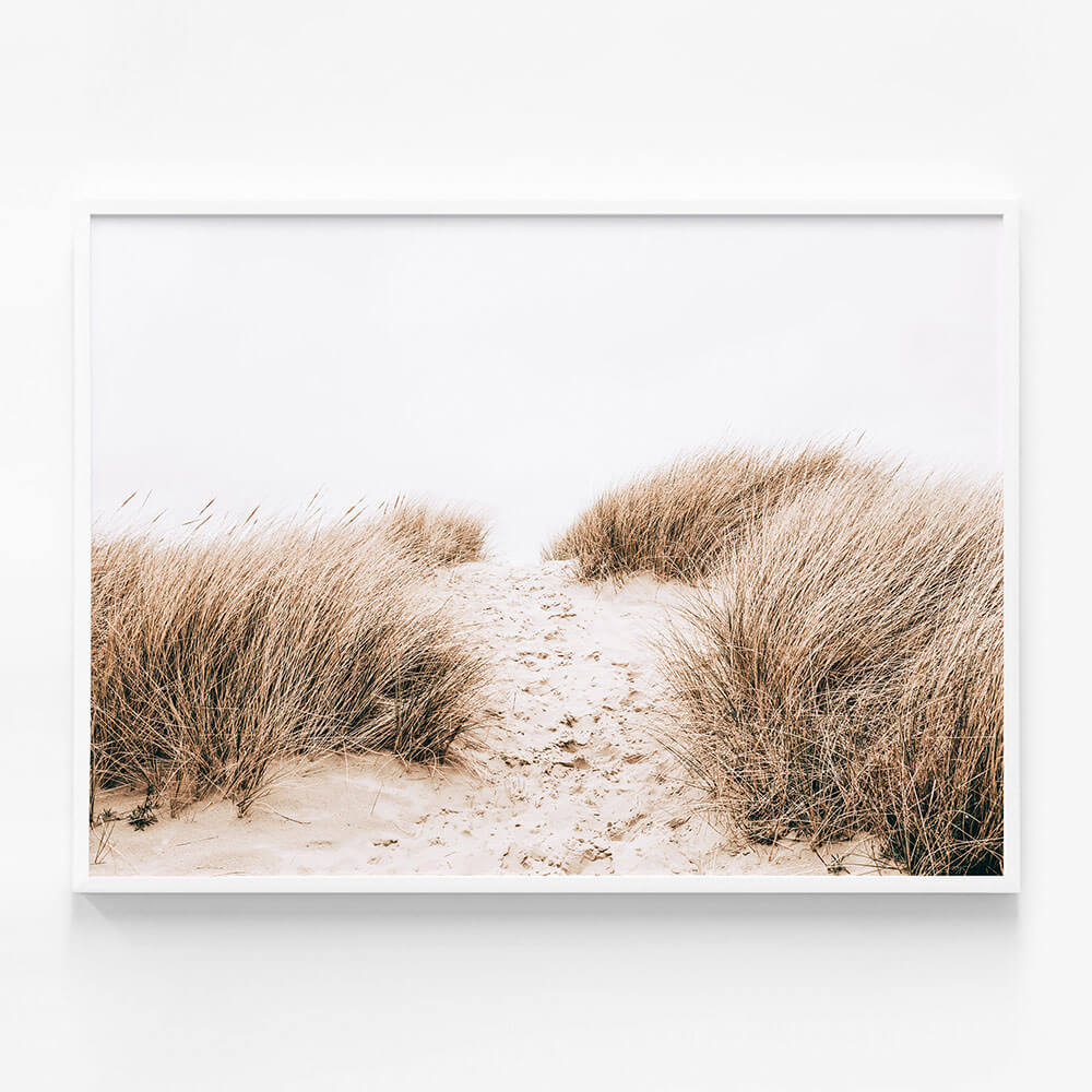 Coastal Grass