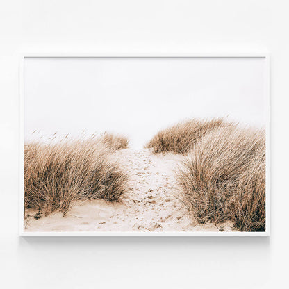 Coastal Grass