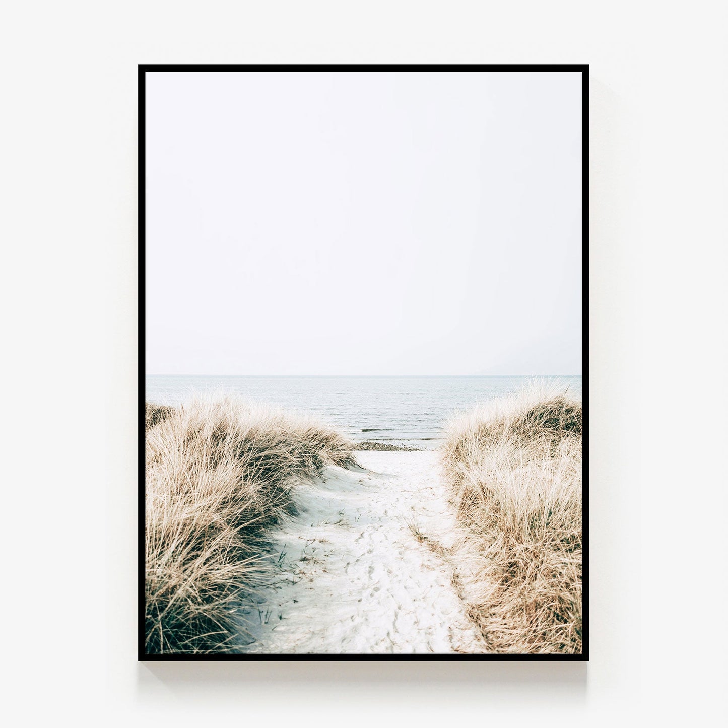Coastal Pathway Canvas