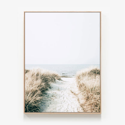 Australian Coastal Pathway to the beach photo canvas wall art print with oak float frame