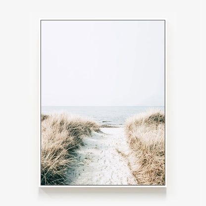 Coastal Pathway Canvas