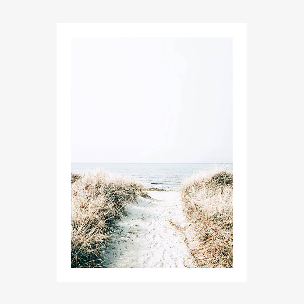 A coastal photo print featuring the a pathway to the beach between coastal grass