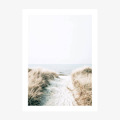 A coastal photo print featuring the a pathway to the beach between coastal grass