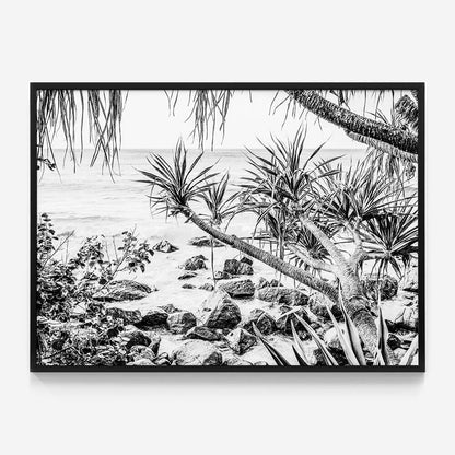 Coastal Pines B&W