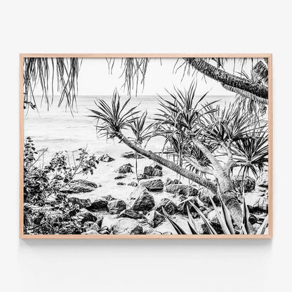Coastal Pines B&W