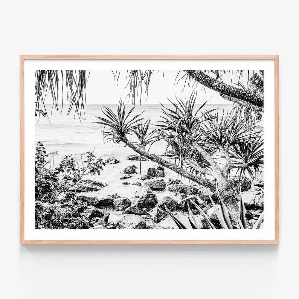 Coastal Pines B&W