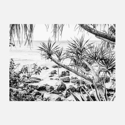 Coastal Pines B&W