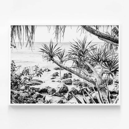 Coastal Pines B&W