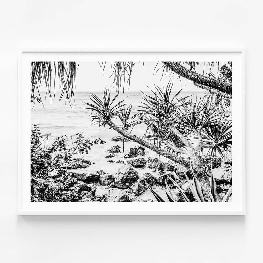 Coastal Pines B&W